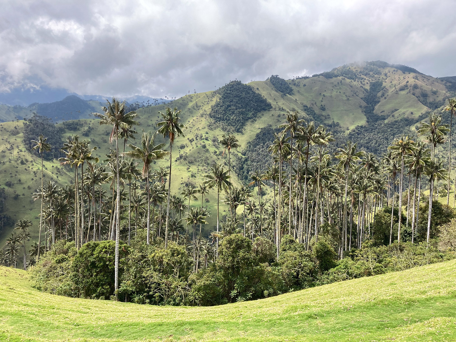 Image by Karin Beerepoot